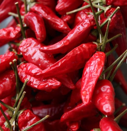 L'art de la sauce tomate saveurs authentiques !!!! Recettes aux choix