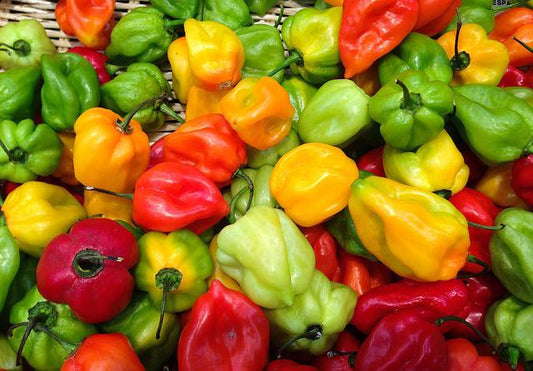 Délice de 4 piments à l'abricot " édition spéciale été "